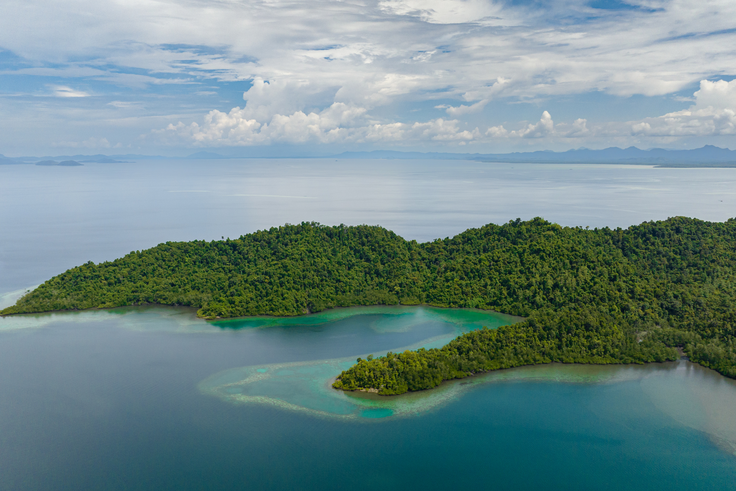 sepilok (3).webp